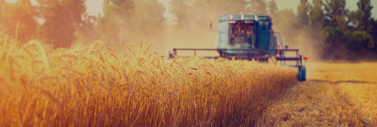 ¿Tienes una explotación agraria o ganadera? Esto te interesa