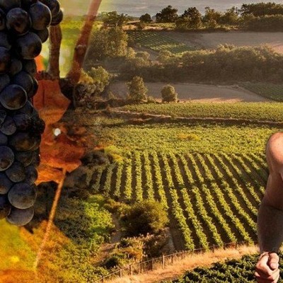 Wine Run Rioja Alavesa lasterketan korri egiteko 5 zenbaki zozkatzen ditugu